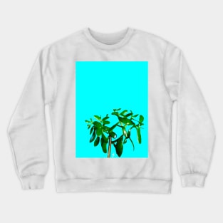 Good Luck Succulent Tree on Sky Blue Crewneck Sweatshirt